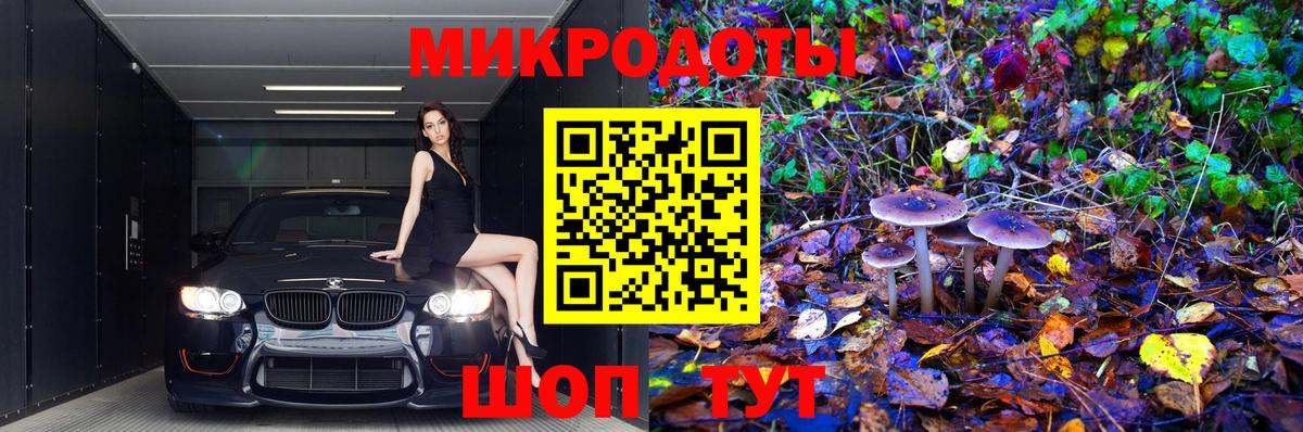 купить наркотик  Псилоцибиновые грибы Cubensis  Вход с VPN  Майкоп 
